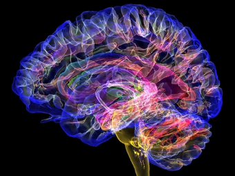 三级搞逼视频大脑植入物有助于严重头部损伤恢复